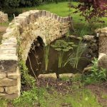 bridge and pond 2