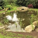 bridge and pond 3